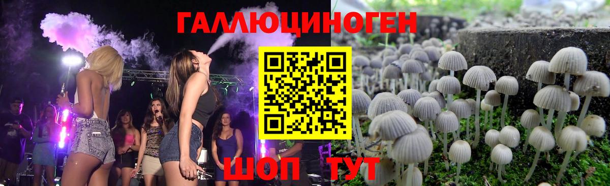Псилоцибиновые грибы GOLDEN TEACHER Ярцево